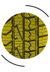 Long-Lasting Year-Round Performance