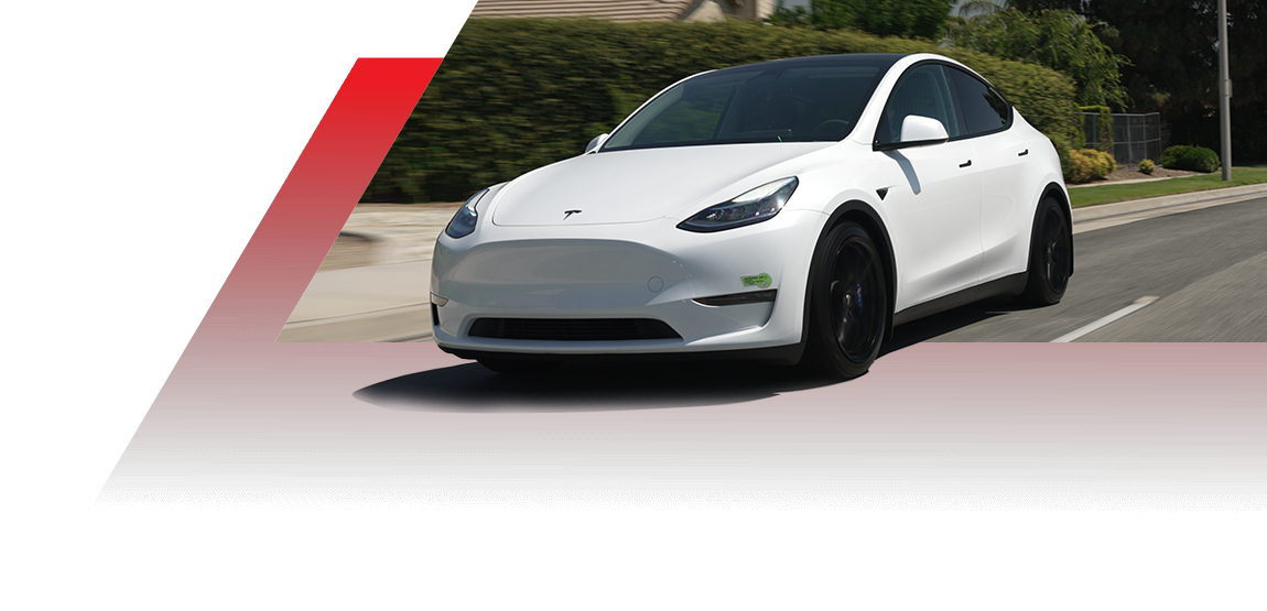 THE FALKEN COMMUNITY