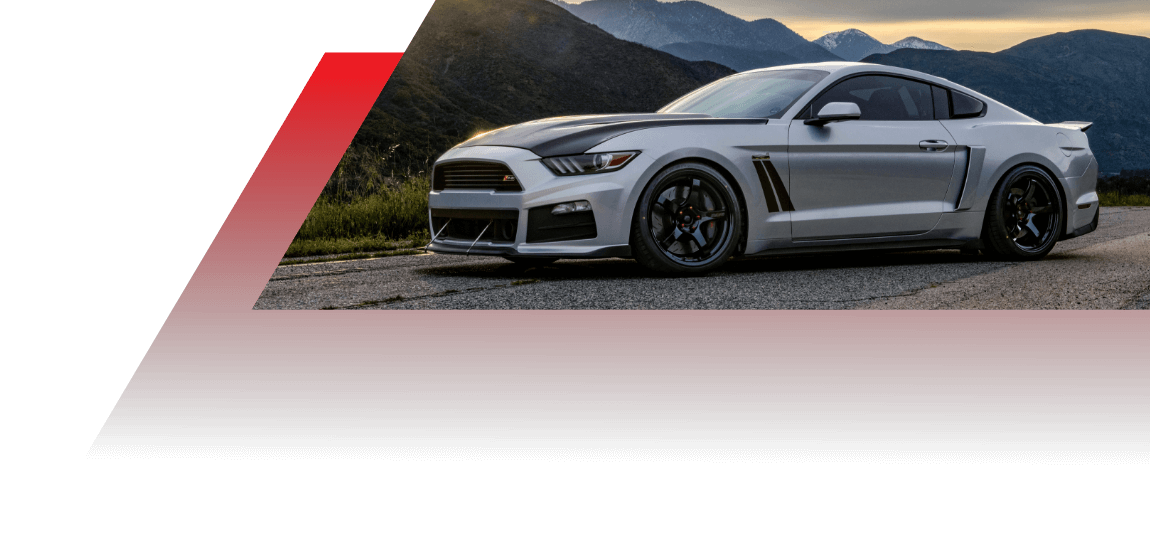 THE FALKEN COMMUNITY