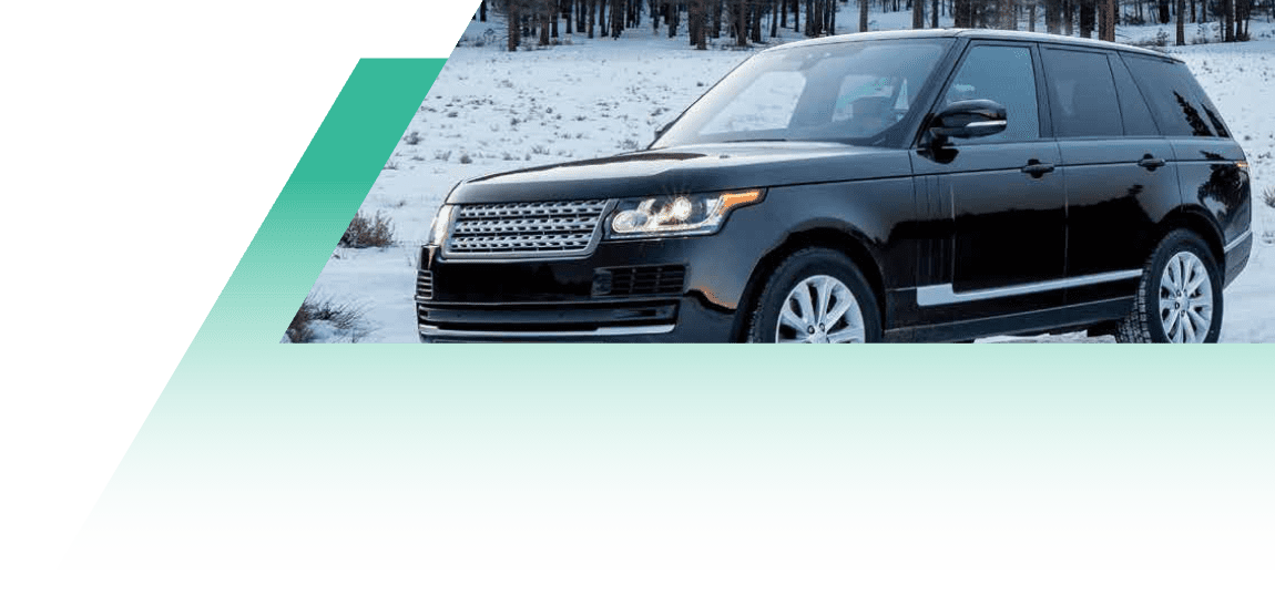 THE FALKEN COMMUNITY