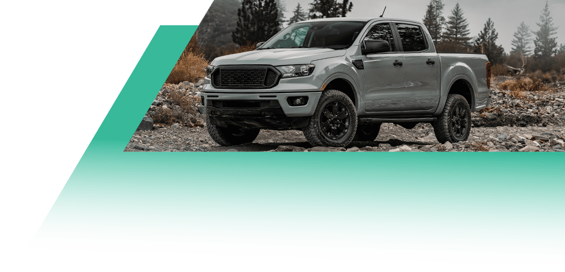 THE FALKEN COMMUNITY