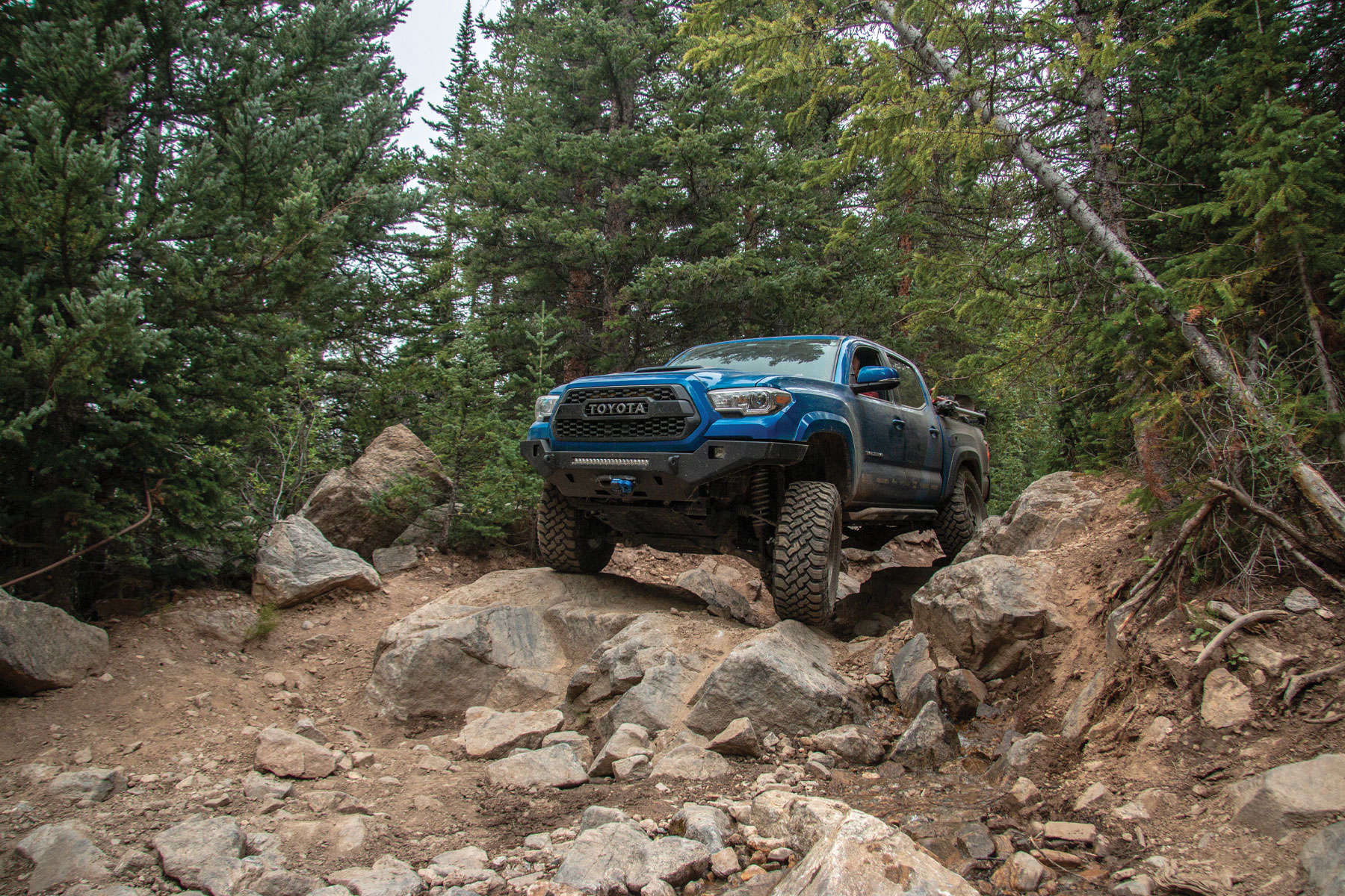 WILDPEAK M/T