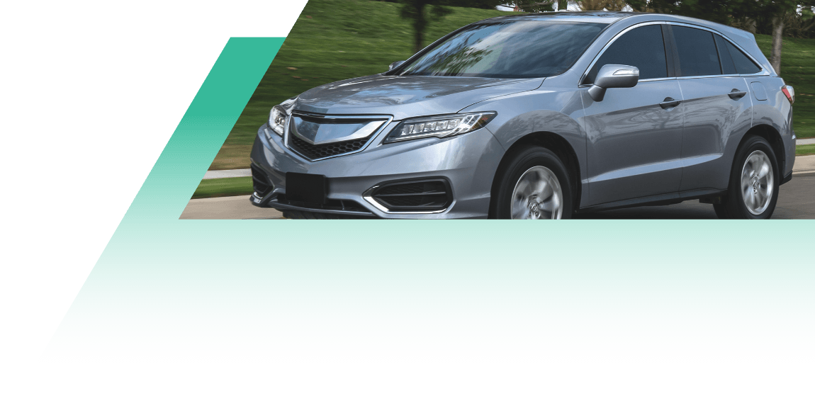 THE FALKEN COMMUNITY